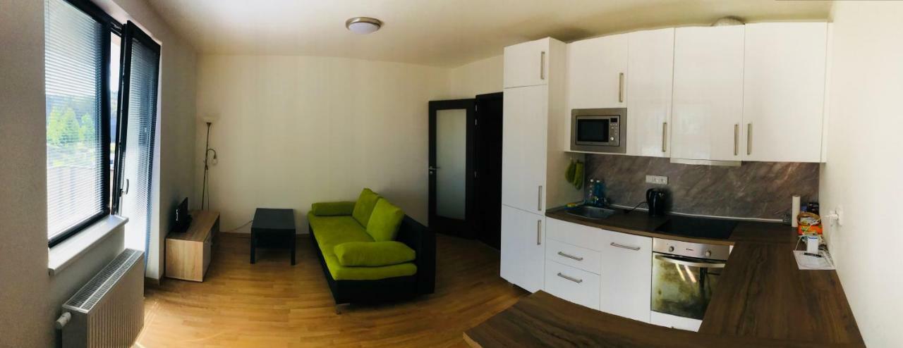 Apartment Waltrovka